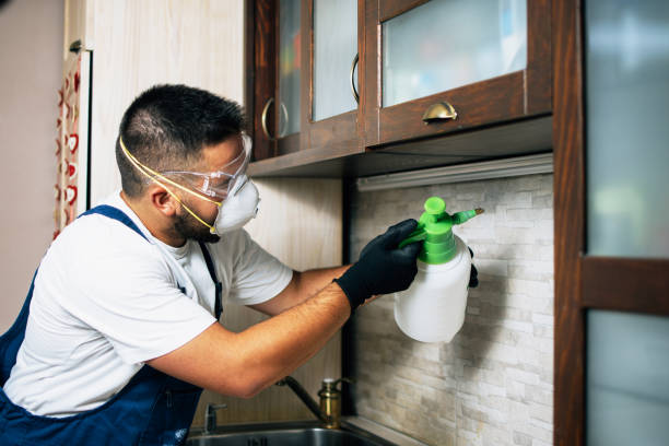 Professional Pest Control in Rathdrum, ID