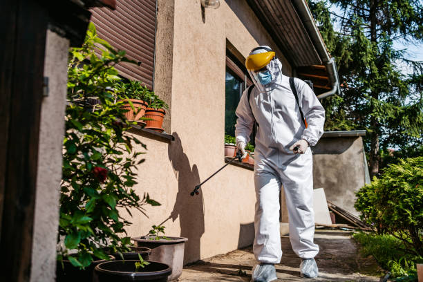 Best Local Pest Control Services  in Rathdrum, ID