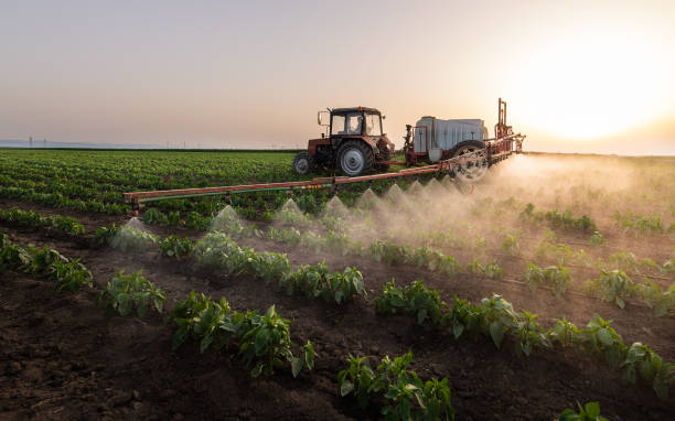 Best Pest Control Treatment  in Rathdrum, ID