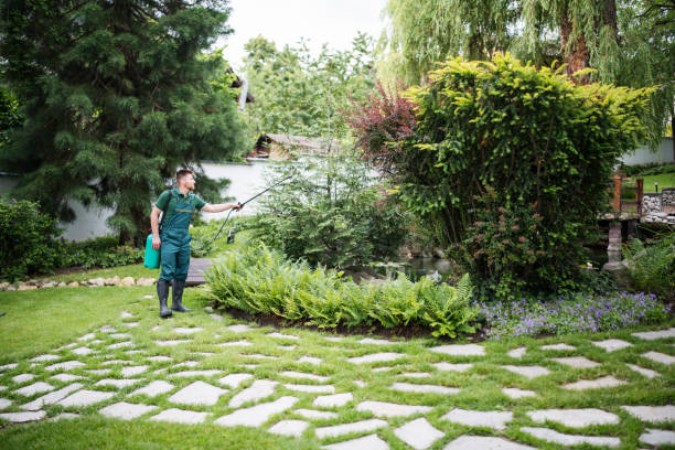 Best Pest Inspection Near Me  in Rathdrum, ID