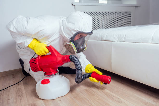 Best Rat Extermination Near Me  in Rathdrum, ID