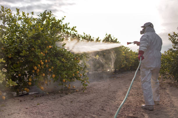 Best Exterminator Services  in Rathdrum, ID