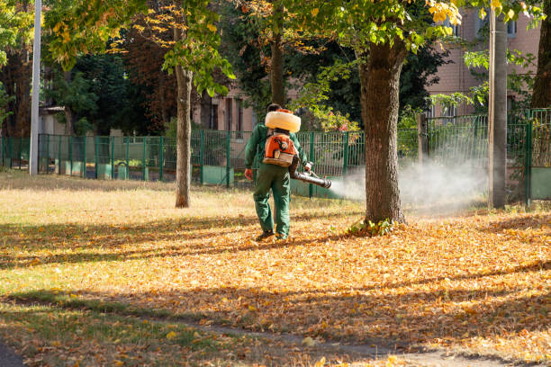 Best Best Pest Control Companies  in Rathdrum, ID